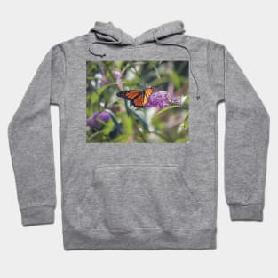 Butterfly Hoodie